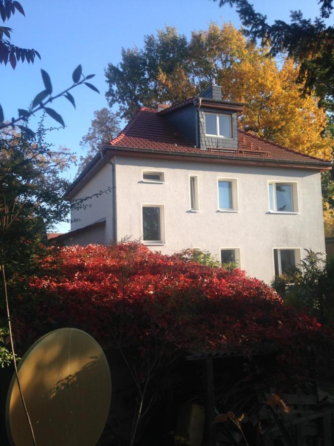 Ferienwohnung Heil - 科尼斯乌特豪森 外观 照片
